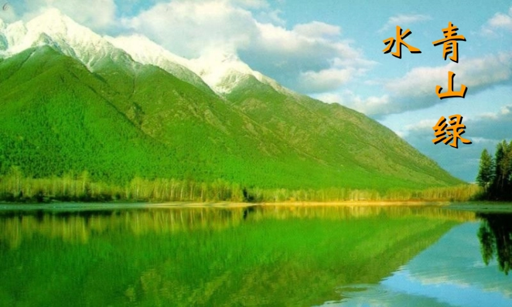 八年级生物上册 第14章第1节五彩缤纷的植物世界课件 （新版）苏教版-（新版）苏教版初中八年级上册生物课件