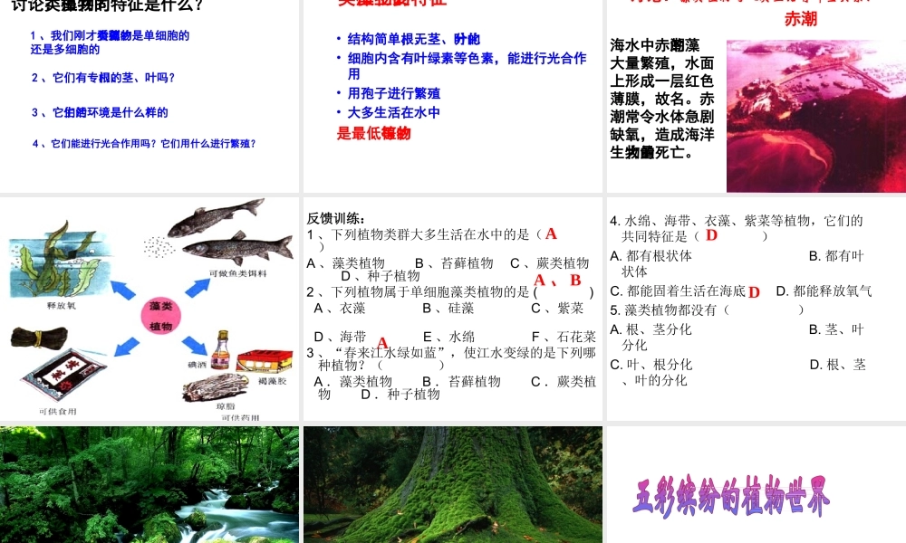 八年级生物上册 第14章第1节五彩缤纷的植物世界课件 （新版）苏教版-（新版）苏教版初中八年级上册生物课件