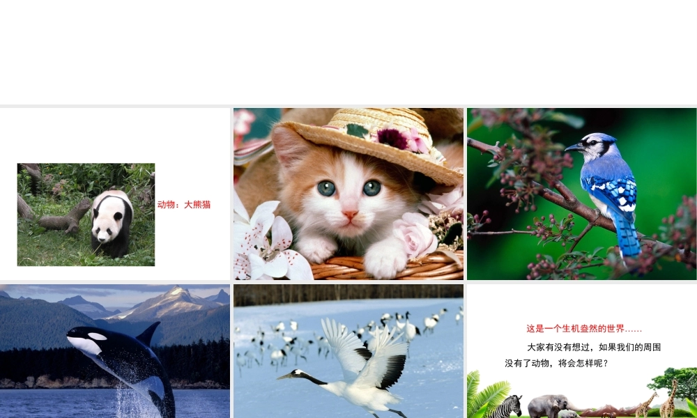 八年级生物上册 5.3 动物在生物圈中的作用课件2 （新版）新人教版-（新版）新人教版初中八年级上册生物课件