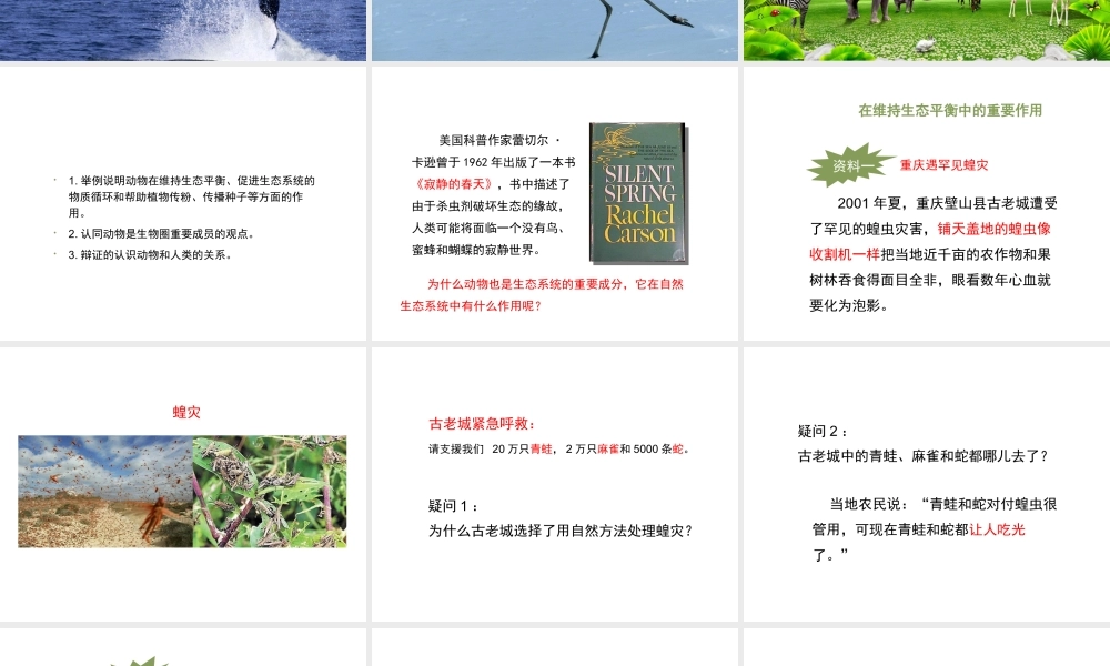 八年级生物上册 5.3 动物在生物圈中的作用课件2 （新版）新人教版-（新版）新人教版初中八年级上册生物课件