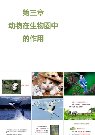 八年级生物上册 5.3 动物在生物圈中的作用课件2 （新版）新人教版-（新版）新人教版初中八年级上册生物课件