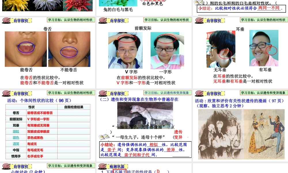 八年级生物上册 《遗传和变异现象》课件3 （新版）北师大版-（新版）北师大级上册生物课件