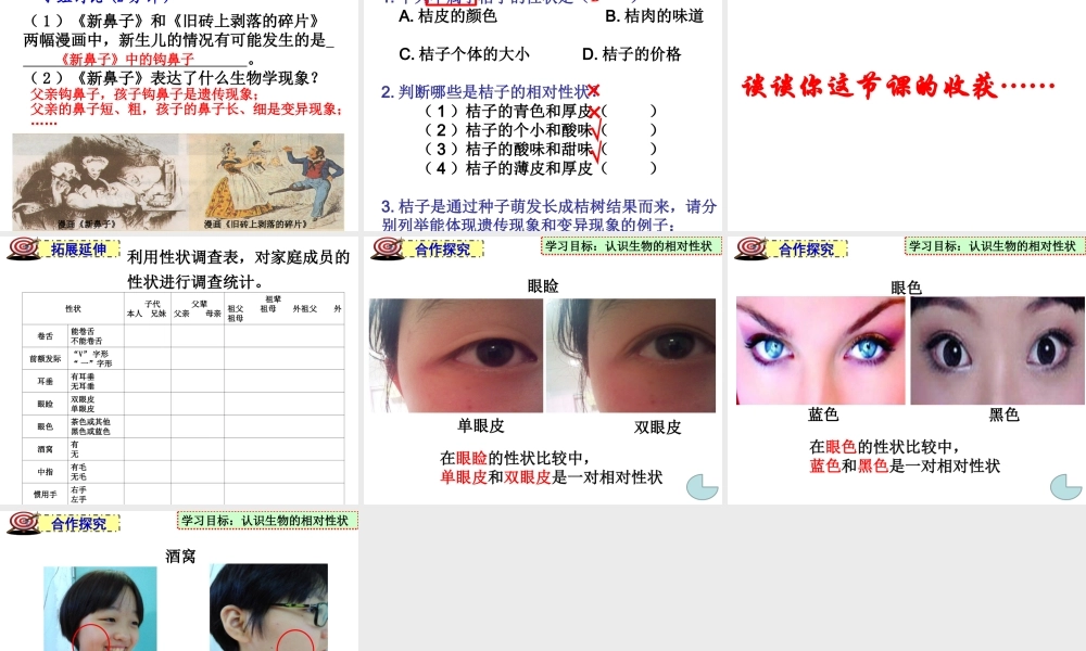 八年级生物上册 《遗传和变异现象》课件3 （新版）北师大版-（新版）北师大级上册生物课件