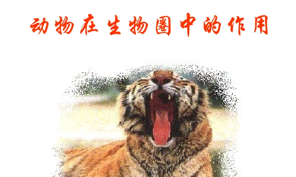 八年级生物上册 5.3 动物在生物圈中的作用课件2 （新版）新人教版