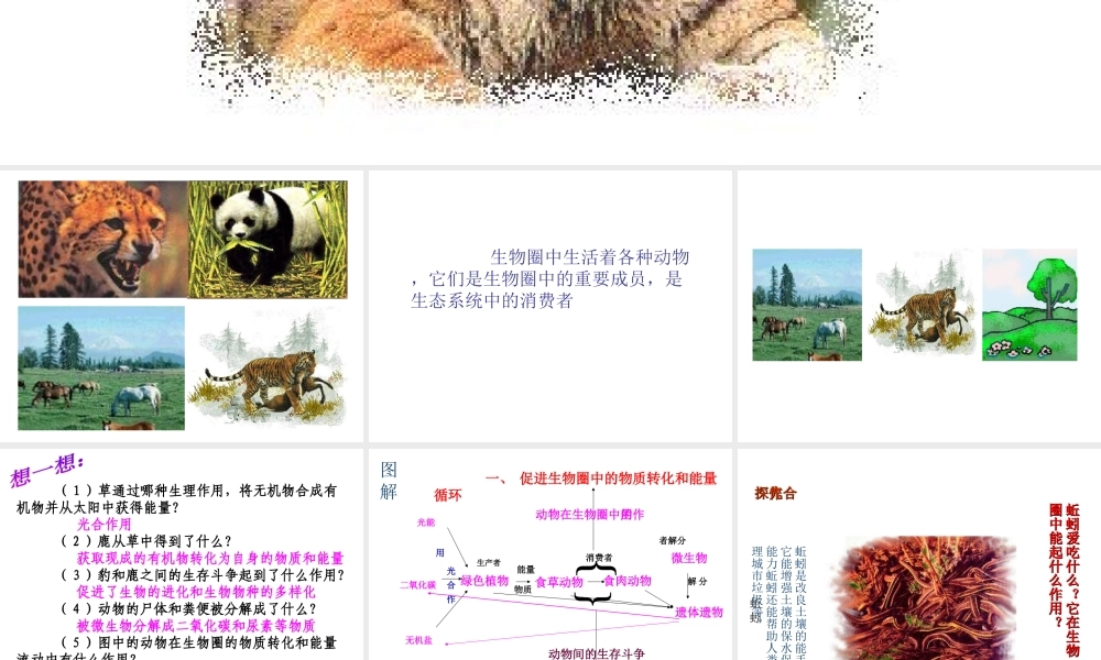 八年级生物上册 5.3 动物在生物圈中的作用课件2 （新版）新人教版