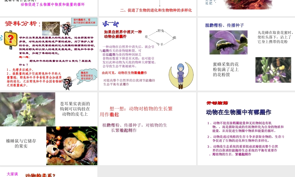八年级生物上册 5.3 动物在生物圈中的作用课件2 （新版）新人教版