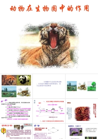 八年级生物上册 5.3 动物在生物圈中的作用课件2 （新版）新人教版