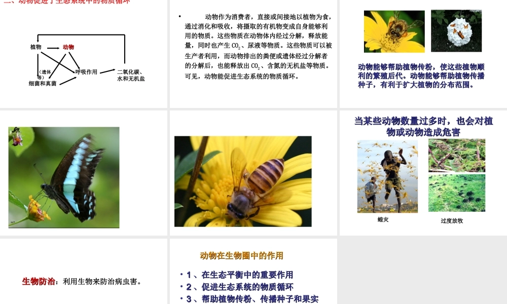 八年级生物上册 5.3 动物在生物圈中的作用课件3 （新版）新人教版