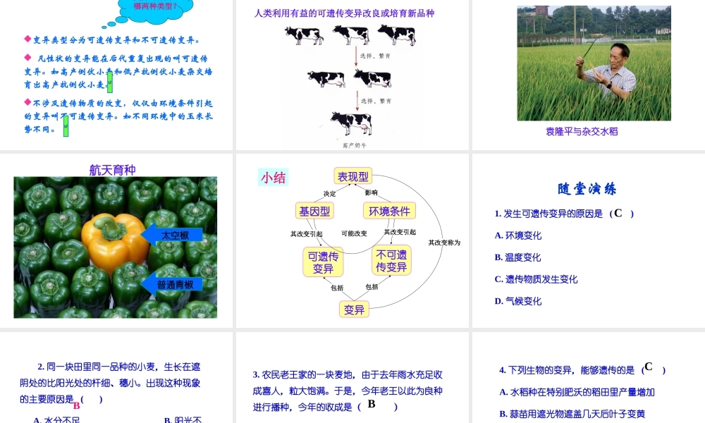 八年级生物上册 《遗传与环境》课件2 （新版）北师大版-（新版）北师大级上册生物课件