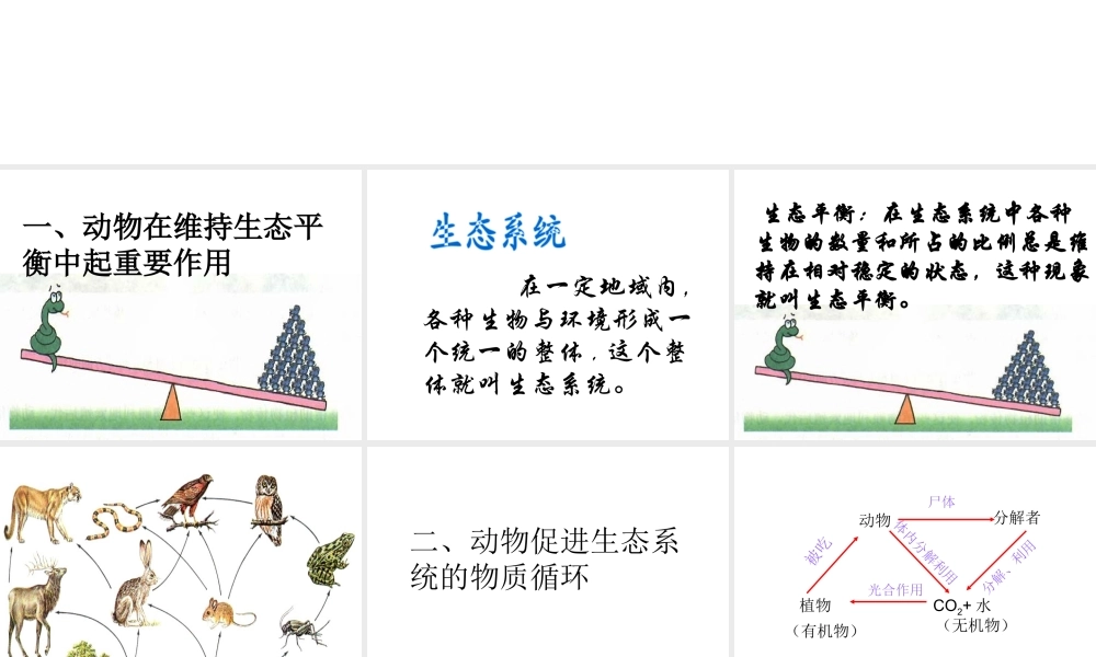 八年级生物上册 5.3 动物在生物圈中的作用课件4 （新版）新人教版