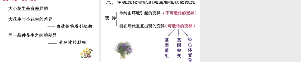 八年级生物上册 《遗传与环境》课件3 （新版）北师大版-（新版）北师大级上册生物课件