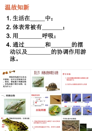 八年级生物上册 5.1.5 两栖动物和爬行动物课件 （新版）新人教版