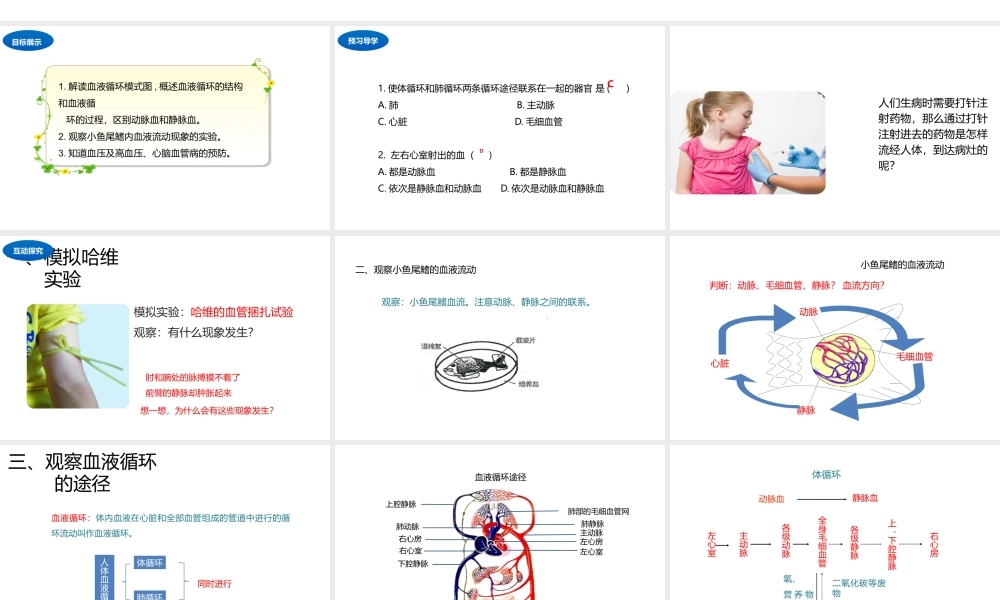 八年级生物上册 6.15.1 人体内物质的运输（第4课时）课件 （新版）苏科版-（新版）苏科级上册生物课件