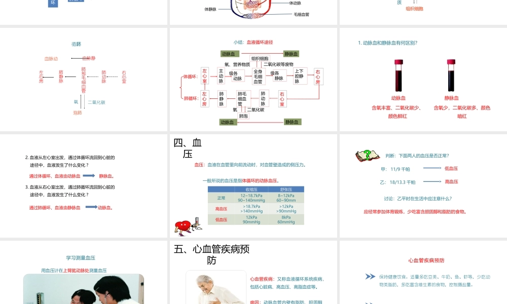 八年级生物上册 6.15.1 人体内物质的运输（第4课时）课件 （新版）苏科版-（新版）苏科级上册生物课件