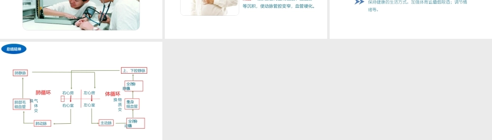 八年级生物上册 6.15.1 人体内物质的运输（第4课时）课件 （新版）苏科版-（新版）苏科级上册生物课件