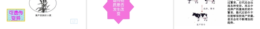 八年级生物上册 《遗传与环境》课件4 （新版）北师大版-（新版）北师大级上册生物课件