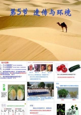 八年级生物上册 《遗传与环境》课件4 （新版）北师大版-（新版）北师大级上册生物课件