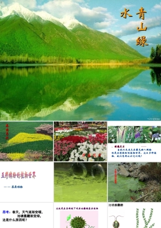 八年级生物上册 第14章第1节五彩缤纷的植物世界课件 （新版）苏教版-（新版）苏教级上册生物课件