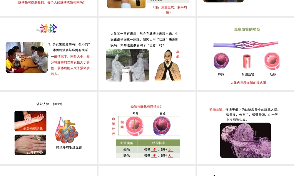 八年级生物上册 6.15.1《人体内物质的运输》第1课时课件 （新版）苏科版-（新版）苏科版初中八年级上册生物课件