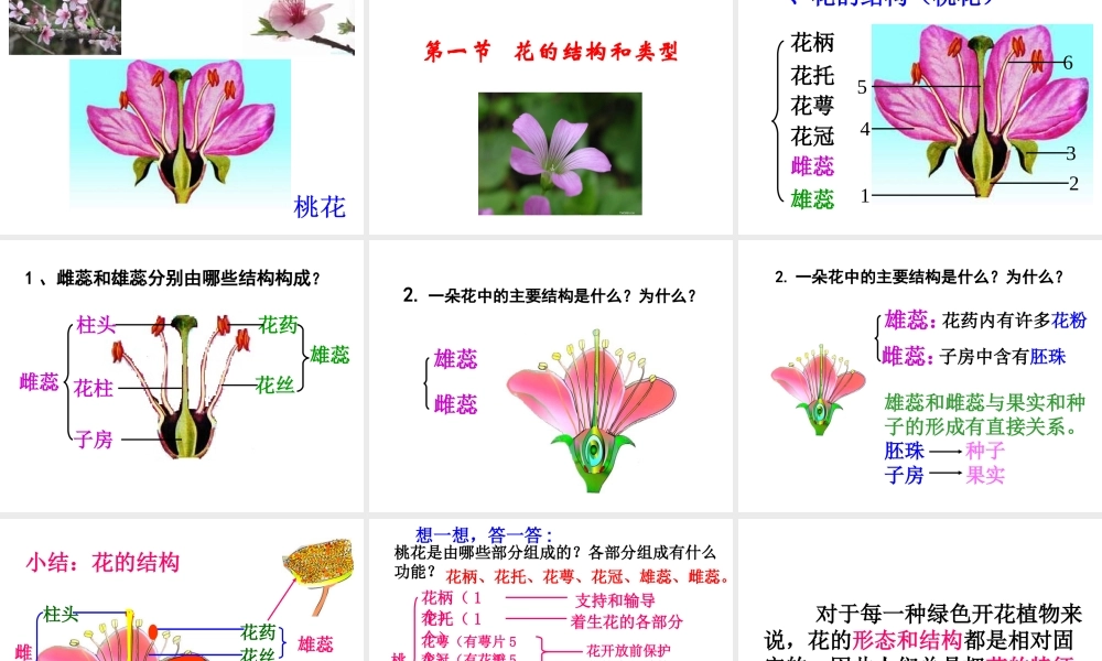 八年级生物上册 《知识要点大贯穿》课件 苏科版
