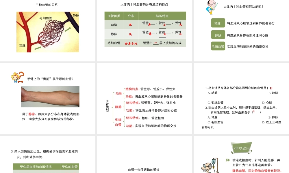 八年级生物上册 6.15.1《人体内物质的运输》第1课时课件 （新版）苏科版-（新版）苏科级上册生物课件
