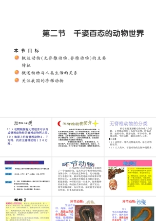 八年级生物上册 第14章第2节千姿百态的动物世界课件 （新版）苏教版-（新版）苏教版初中八年级上册生物课件