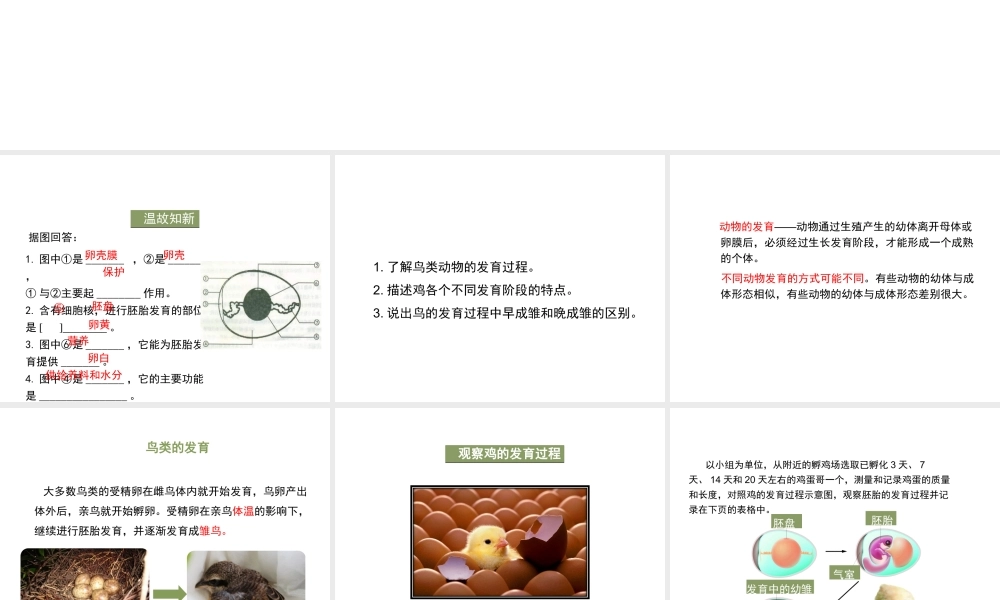 八年级生物上册 7.《动物的发育》第1课时课件 （新版）苏科版-（新版）苏科级上册生物课件