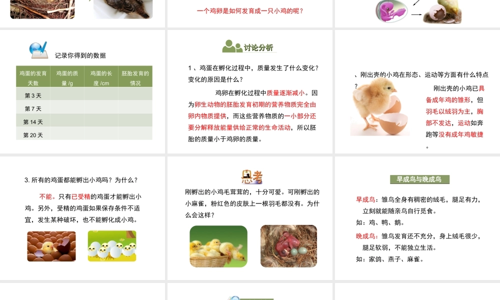 八年级生物上册 7.《动物的发育》第1课时课件 （新版）苏科版-（新版）苏科级上册生物课件