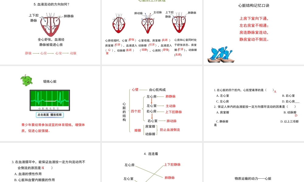 八年级生物上册 6.15.1《人体内物质的运输》第2课时课件 （新版）苏科版-（新版）苏科版初中八年级上册生物课件