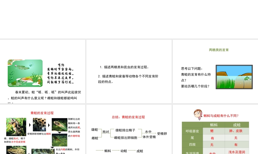 八年级生物上册 7.《动物的发育》第2课时课件 （新版）苏科版-（新版）苏科级上册生物课件