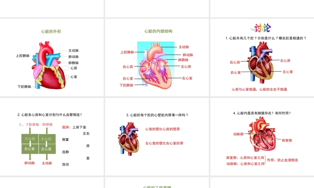 八年级生物上册 6.15.1《人体内物质的运输》第2课时课件 （新版）苏科版-（新版）苏科级上册生物课件