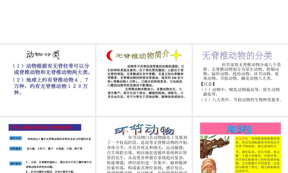 八年级生物上册 第14章第2节千姿百态的动物世界课件 （新版）苏教版-（新版）苏教级上册生物课件