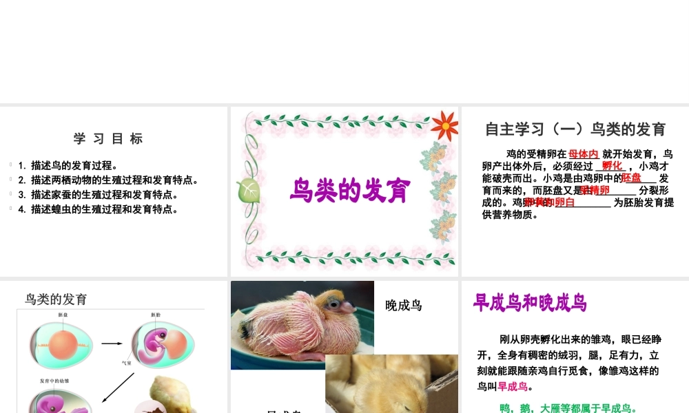 八年级生物上册 7.《动物的发育》课件 （新版）苏科版-（新版）苏科级上册生物课件