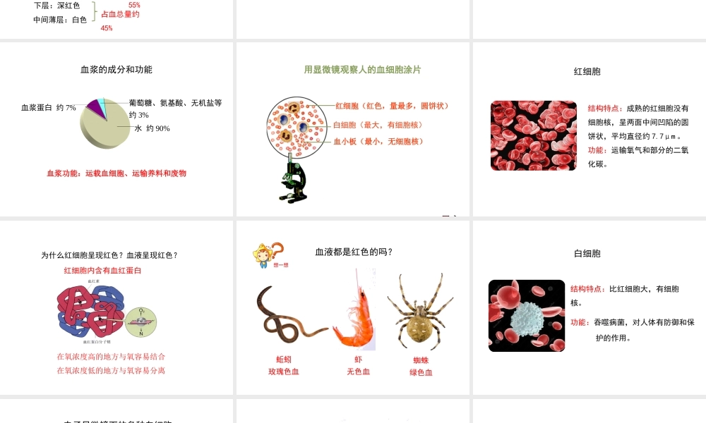 八年级生物上册 6.15.1《人体内物质的运输》第3课时课件 （新版）苏科版-（新版）苏科版初中八年级上册生物课件