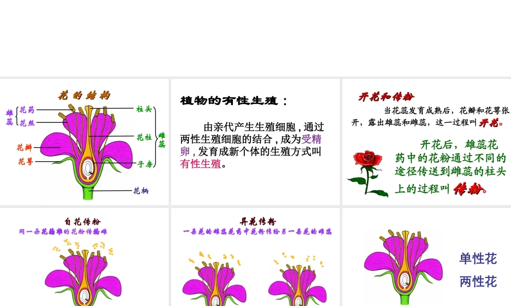 八年级生物上册 第14章第2节植物的有性生殖课件 苏教版