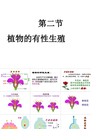 八年级生物上册 第14章第2节植物的有性生殖课件 苏教版