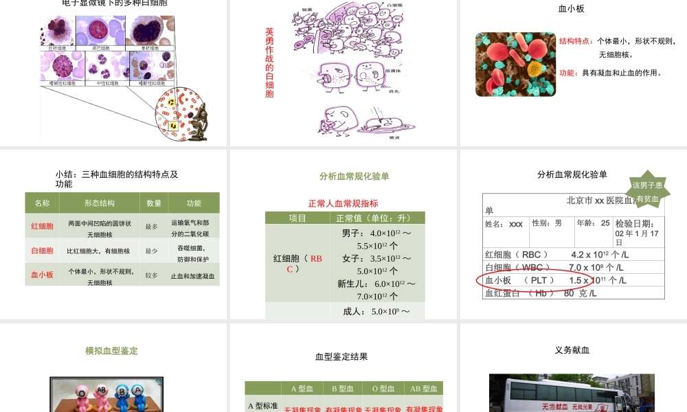 八年级生物上册 6.15.1《人体内物质的运输》第3课时课件 （新版）苏科版-（新版）苏科级上册生物课件