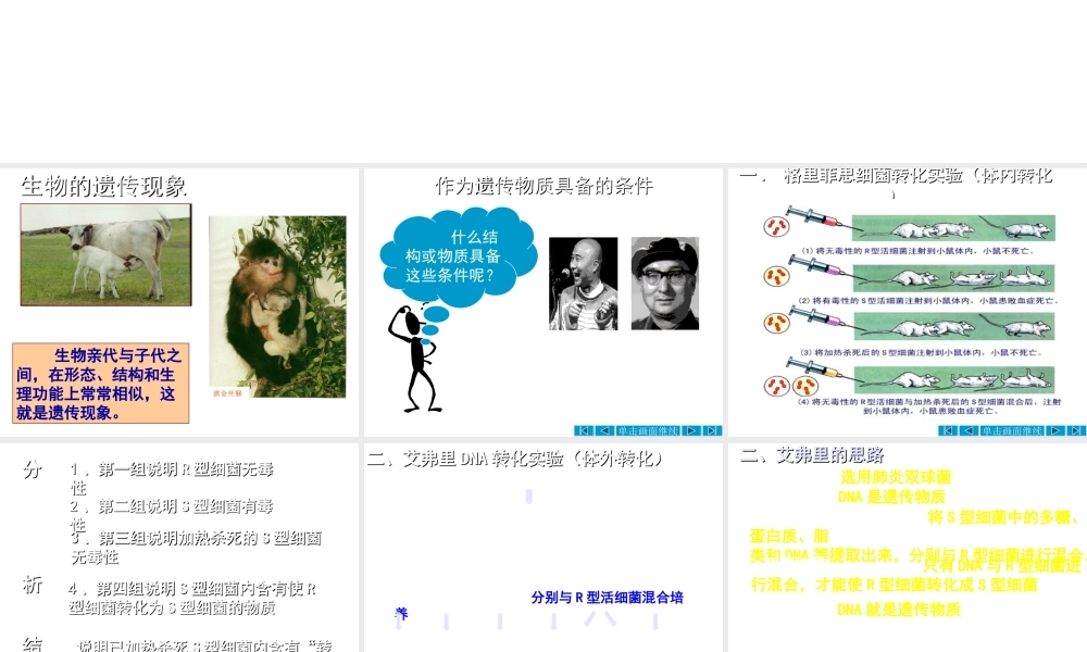 八年级生物上册 第15章 第1节 DNA是主要遗传物质课件1 苏教版