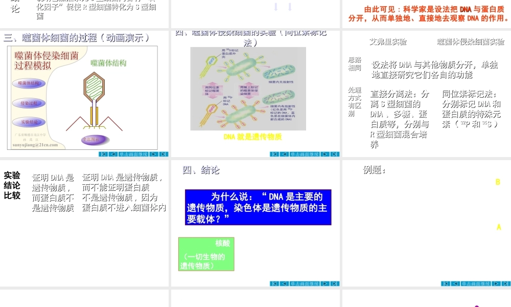 八年级生物上册 第15章 第1节 DNA是主要遗传物质课件1 苏教版
