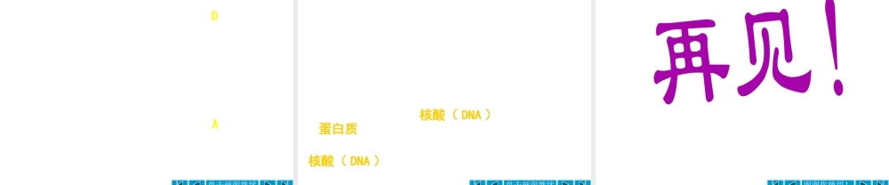 八年级生物上册 第15章 第1节 DNA是主要遗传物质课件1 苏教版