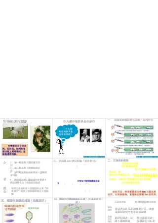 八年级生物上册 第15章 第1节 DNA是主要遗传物质课件1 苏教版