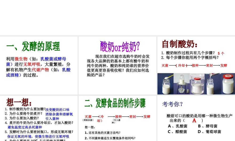 八年级生物上册 5.3.1 发酵食品的制作课件 （新版）冀教版-（新版）冀教级上册生物课件