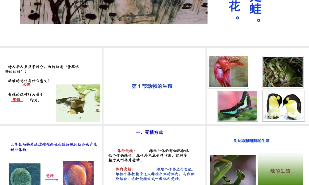 八年级生物上册 7.《动物的生殖》课件 （新版）苏科版-（新版）苏科级上册生物课件