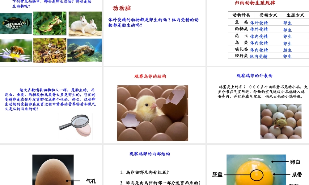 八年级生物上册 7.《动物的生殖》课件 （新版）苏科版-（新版）苏科级上册生物课件