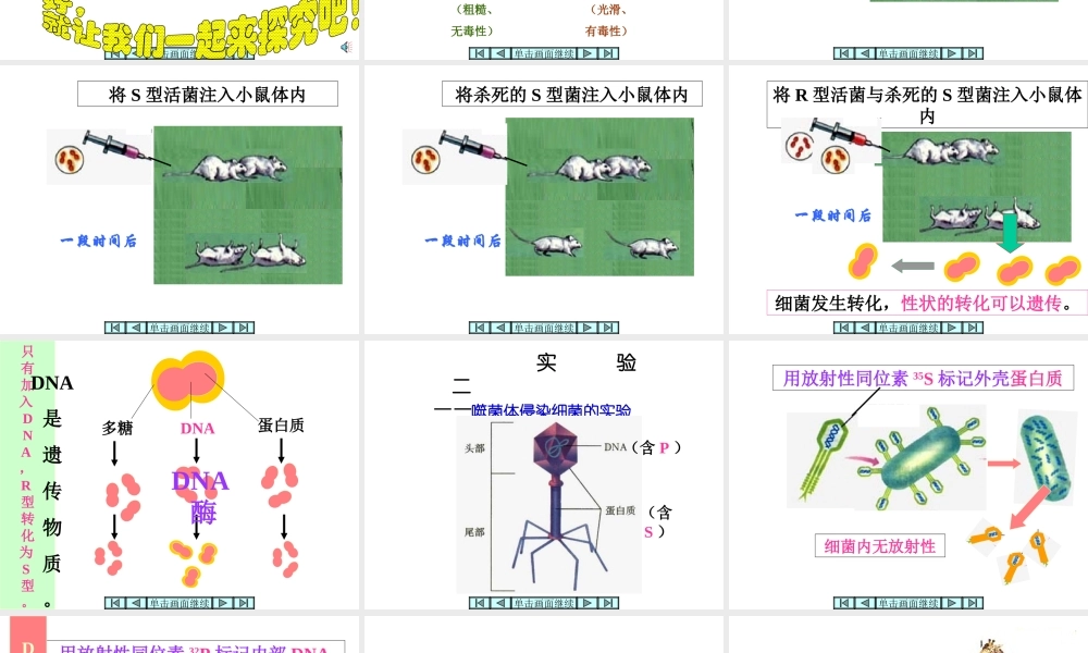 八年级生物上册 第15章 第1节 DNA是主要遗传物质课件2 苏教版