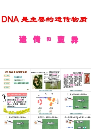 八年级生物上册 第15章 第1节 DNA是主要遗传物质课件2 苏教版