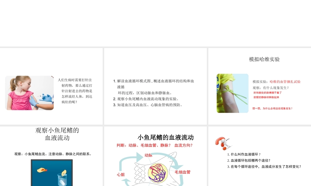 八年级生物上册 6.15.1《人体内物质的运输》第4课时课件 （新版）苏科版-（新版）苏科级上册生物课件