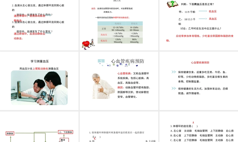 八年级生物上册 6.15.1《人体内物质的运输》第4课时课件 （新版）苏科版-（新版）苏科级上册生物课件