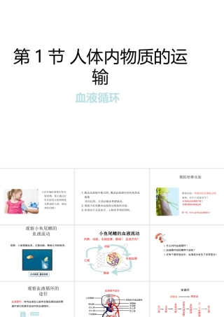 八年级生物上册 6.15.1《人体内物质的运输》第4课时课件 （新版）苏科版-（新版）苏科级上册生物课件