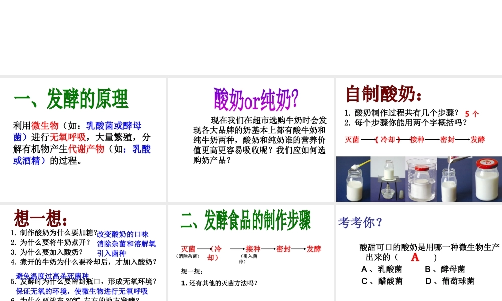 八年级生物上册 5.3.1 发酵食品课件 冀教版-冀教级上册生物课件